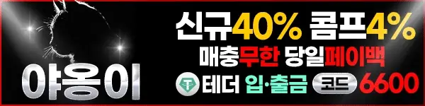 야옹이
